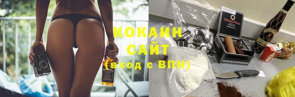 соль ск Богородск