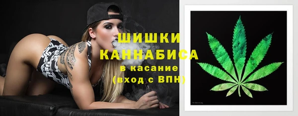 тгк Богданович