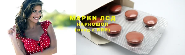 тгк Богданович