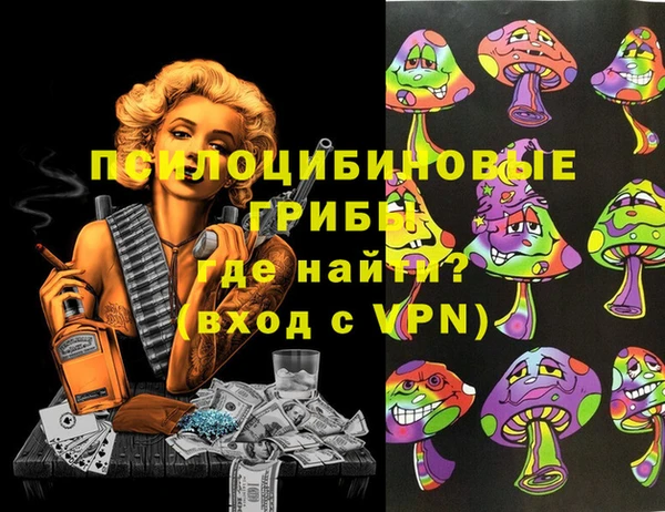 тгк Богданович