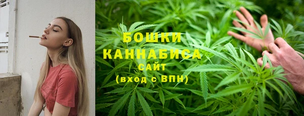 тгк Богданович